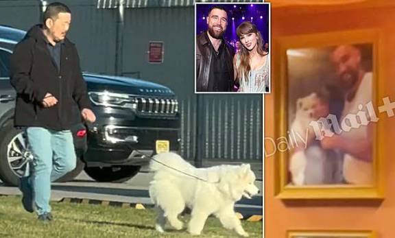 Taylor and Travis don't live together, there is no they, and she doesn't have a dog w/ him and neither have $100,000 sofa. - This is a lie. 'just a few months
