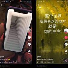 Data on 抖音 and other apps by beijing microlive vision technology co., ltd User Interface Of Douyin Tik Tok Left A Video Showing A Dynamic Download Scientific Diagram