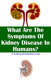 Kidney Disease Prevention Kidney Disease Recipes Kidney Disease Kidney Disease Symptoms