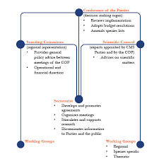 Organizational Structure Of The Convention Cms