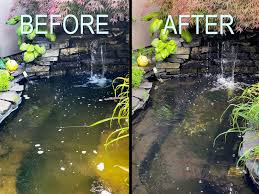 For larger fish aim for 30% filter to pond ratio. Water Garden Filters Everything Ponds Com