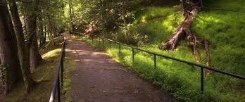North bend state park sits on 2,459 acres (995 ha) along the north fork of the hughes river in ritchie county near cairo, west virginia. 7 Best Ways To Enjoy A Day At North Bend Lake Almost Heaven West Virginia Almost Heaven West Virginia