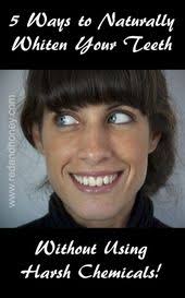 Amie Wheeler (amie4christ)