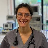 100+ "Amoyal" profiles