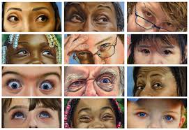 2024 Artists of the Upstate