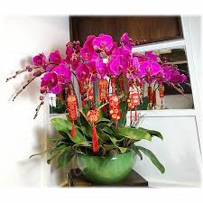 Chinese new year 2021 falls on friday, february 12th, 2021. Chinese New Year Gifts 2021 Lunar New Year Flowers Butterfly