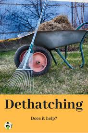 Maybe you would like to learn more about one of these? Does Dethatching The Lawn Actually Help There Are Certainly Instances Where Dethatching Is A Good Idea It S Impor Dethatching Dethatching Lawn Thatching Lawn