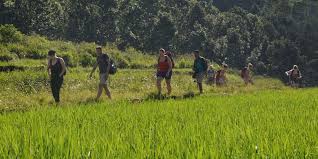 Teknologi terkini telah juga dihasilkan dalam bidang pemprosesan makanan dan pengendalian lepas tuai bagi produk ho Sektor Pertanian Dan Citra Indonesia Di Mata Dunia