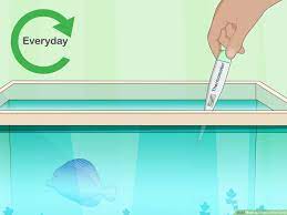 Fill your cart with color today! How To Clean A Fish Tank With Pictures Wikihow Pet