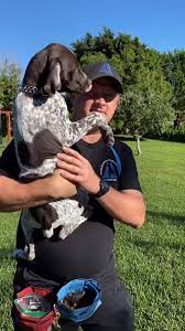 Best duck hunting dog. #germanpointerpuppy #germanpointer #germanshorthairedpointer #dogtrainer #dogtrainingtips #southfloridadogtrainer | German Shorthaired Pointer | Facebook