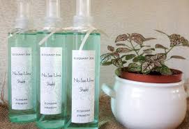 No See Ums Shield Bug Spray Party Inspiration