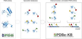 As of december 2010, the protein data bank repository held 70,000 entries (xml documents) that contain more than 500 million atom coordinates. Traditionally A Pdb Entry Represents Structures Based On A Single Set Download Scientific Diagram