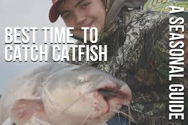 I actually pre ordered the newest book for her. The Best Time To Catch Catfish Seasonal Guide