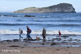 Ausflug Von Edinburgh: 11 Highlights In North Berwick