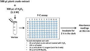 Determination of total phenolic content. Procedure To Oxidize Interfering Compounds In Crude Extracts By Download Scientific Diagram