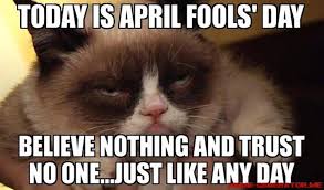 Funny grumpy cat memes clean becomeawag com. Check Out These Funny Cat Memes To Help You Through Quarantine Film Daily