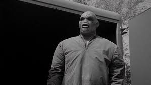 Universal Monsters #28: The Creature Walks Among Us (1956, John Sherwood) |  Ian Farrington