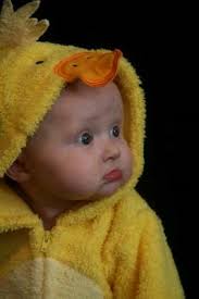 Avery Drew Schilling