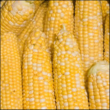 152 of the weights & measures act) alfalfa seed. Weight Of Bushel Corn What Things Weigh