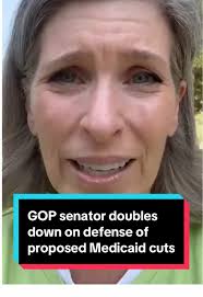 Nicolle Wallace Responds to Joni Ernst's Medicaid Cuts Controversy