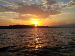 Our rental cabins are perfect if you're traveling with pets and children what's even better than pet friendly cabins? Dog Friendly Vacation Rentals In Arkansas Flipkey