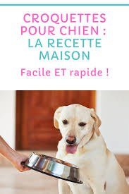Croquettes Pour Chien La Recette Maison Croquette Pour Chien Recettes Pour Chien Recettes De Biscuits Pour Chien
