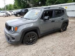 Image result for Sting Grey 2020 Renegade