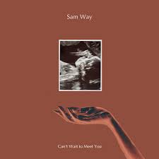 Can T Wait To Meet You Single By Sam Way Spotify