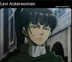 Top levi for a girl Flash Sales Levi for a store girl