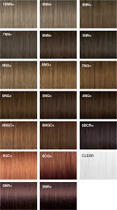 Biolage Plant Based Hair Color Swatches Awesome 6ng Hair Color Joico And Description In 2020 Hair Color Chart Joico Hair Color Hair Color Swatches