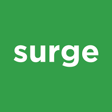 نتیجه جستجوی لغت [surge] در گوگل