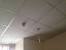 Polystyrene Ceiling Tiles Asbestos