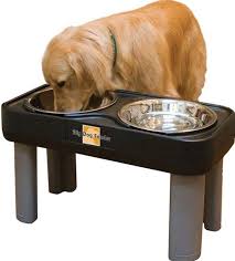 Big Dog Feeder Elevated Pet Dish Extra Large 4 Quart Stainless Steel Bowls New Dogfeeder Elevated Dog Feeder Dog Feeder Raised Dog Bowls