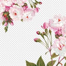 We did not find results for: Garden Party Png Images Pngwing