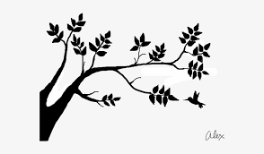 Tree Shadow Drawing Free Transparent Png Download Pngkey 2,000+ vectors, stock photos & psd files. tree shadow drawing free