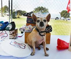 Get the details on what these agreements include and how to set them up. Skechers Bobs For Dogs Campaign Helps 583 000 Animals Business Wire