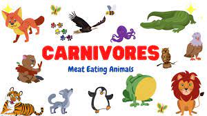 Carnivore Animals Learn Carnivorous Animals Name Type Of Animals Meat Eating Animals Youtube
