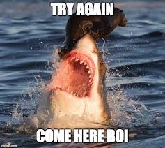 Travelonshark Meme Imgflip