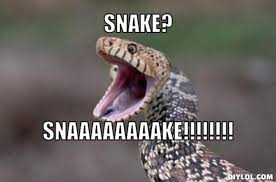Snake Trying Too Hard To Play Dead