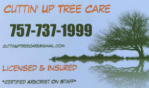 Visit & look for more results! Top 10 Best Tree Removal Services In Virginia Beach Va Angi Angie S List