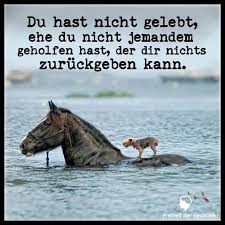 Treu Instagram Photos And Videos Instforgramcom