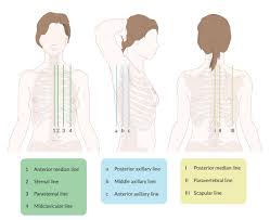 Anatomy is to physiology as geography is to history: Chest Wall Amboss