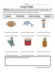 Characteristics Living Things Worksheet 1 Describe Science Worksheets Characteristics Of Living Things 2nd Grade Worksheets