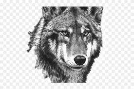 46 how to draw a wolf howling. White Wolf Clipart Small Wolf Tattoo Mgeli Png Download 1133101 Pikpng