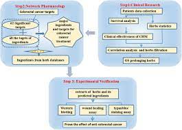 Most cancer researchers have assumed that the spread, or metastasis, of tumors typically occurs later in the disease process.the general idea has been that as tumors grow and. Molecular Targets Of Chinese Herbs A Clinical Study Of Metastatic Colorectal Cancer Based On Network Pharmacology Scientific Reports