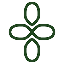 Network chiropractic care near me. Network Chiropractic