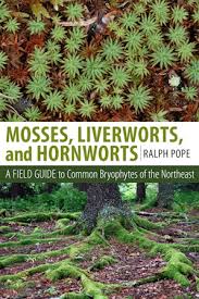 Image result for Reference Biography Moss
