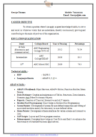 Sample Template Example Of Beautiful Excellent Professional Curriculum Vitae Resume Cv Format With Resume Format Examples Curriculum Vitae Resume Cv Format