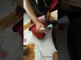 Saat ini bunga kamboja memilki nilai ataupun prospek untuk dijadikan salah satu bisnis setidaknya ada dua cara menanam bunga kamboja, yang pertama yakni melalui bibit atau biji dan yang kedua melalui stek batang. Gambar Vas Bunga Dari Biji Bijian Pedro Gambar