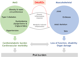 Image result for Higher Integrative Function